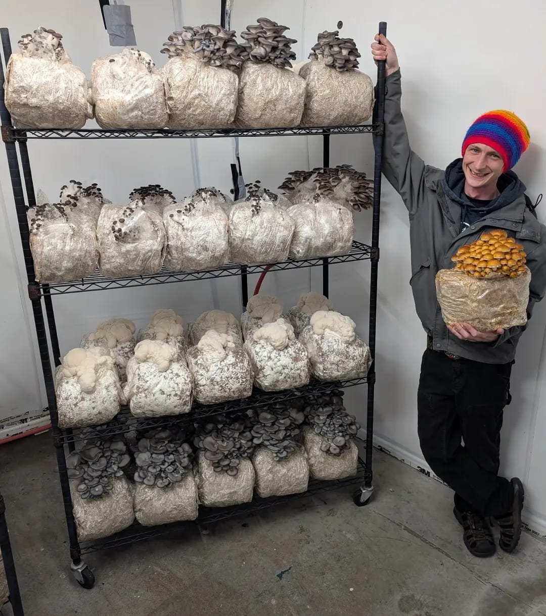 mush love psychedelics